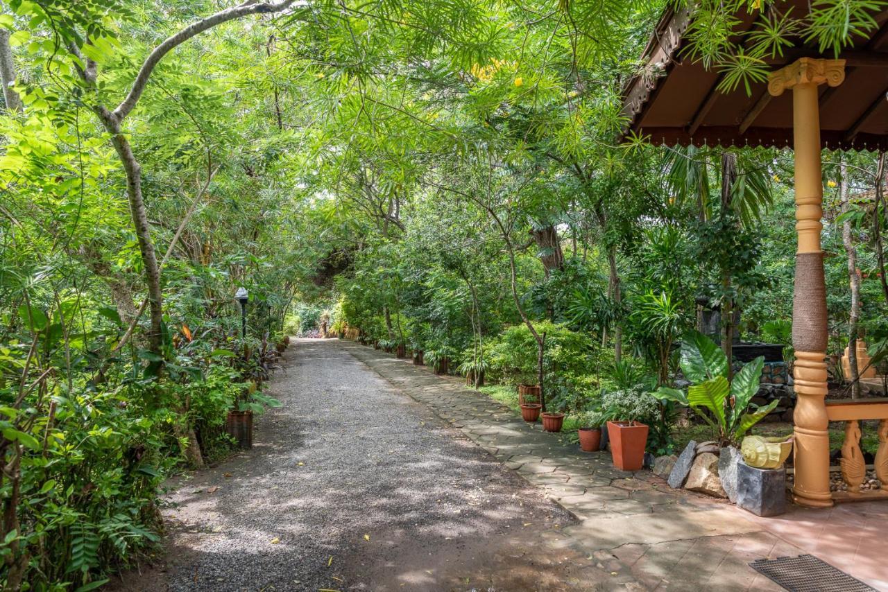 Nature Lanka Ayurveda Resort - All Meals And Ayurveda Treatments With Yoga Tangalle Exterior photo